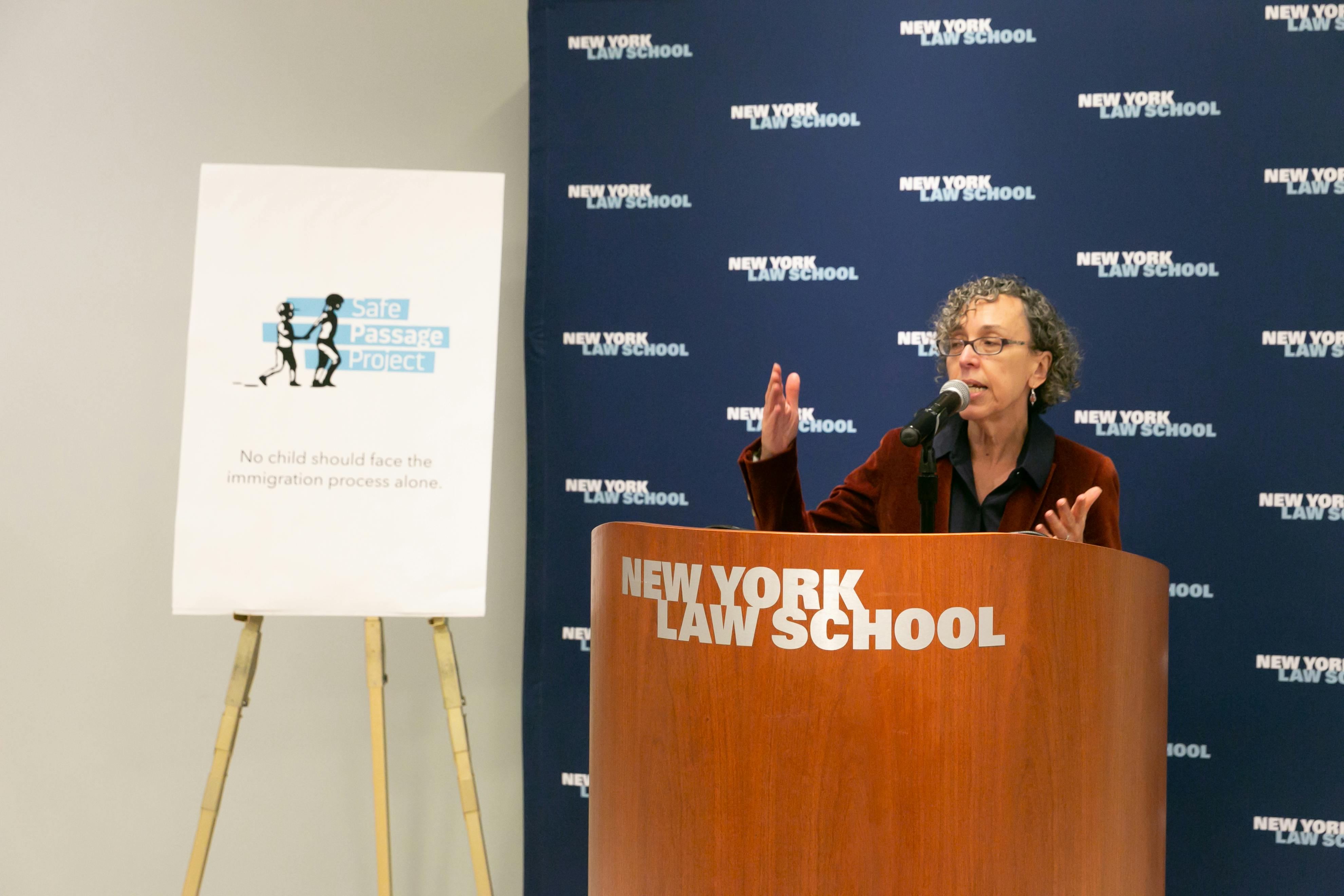 2025 Summer Internship Program Law Student Intern at Safe Passage Project